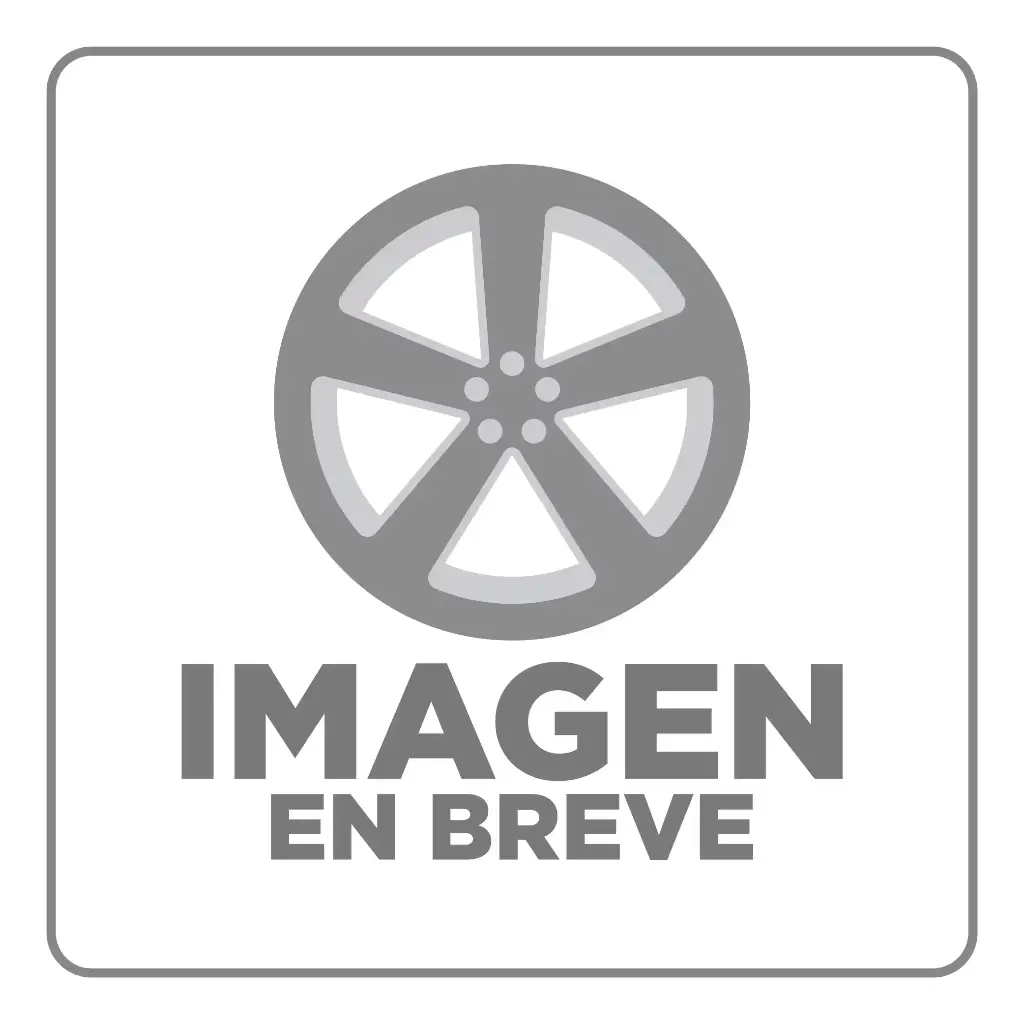 RIN 15X6.5 5-100 R1 SPORT HXX057B BMF MILLING SPOKE FACE WINDOW ET35 CB73.1